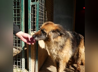 Lucy May - liebevolle Seniorin