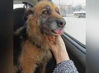 Lucy May - liebevolle Seniorin