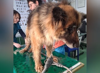 Lucy May - liebevolle Seniorin