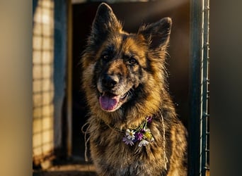 Lucy May - liebevolle Seniorin