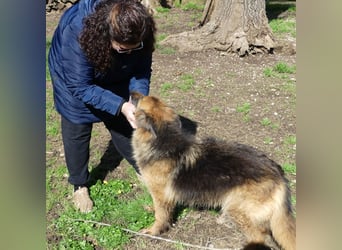 Lucy May - liebevolle Seniorin