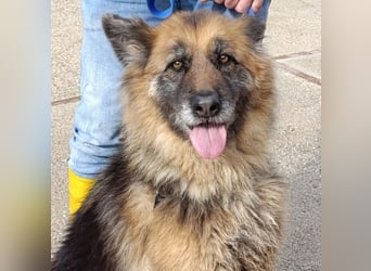 Lucy May - liebevolle Seniorin