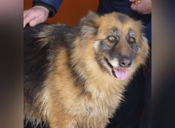 Lucy May - liebevolle Seniorin