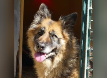 Lucy May - liebevolle Seniorin