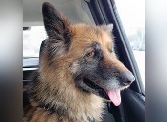 Lucy May - liebevolle Seniorin