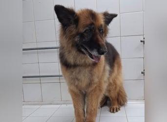 Lucy May - liebevolle Seniorin