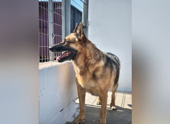 Nora, möchte nicht den Winter in Spanien verbringen