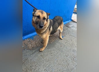 Nora, möchte nicht den Winter in Spanien verbringen