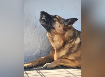 Nora, möchte nicht den Winter in Spanien verbringen