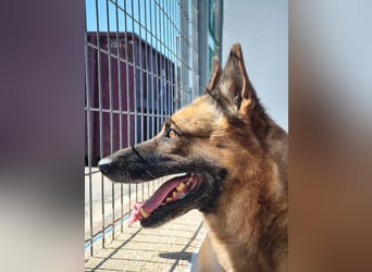 Nora, möchte nicht den Winter in Spanien verbringen