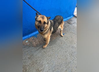 Nora, möchte nicht den Winter in Spanien verbringen