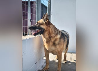 Nora, wartet schon so lange