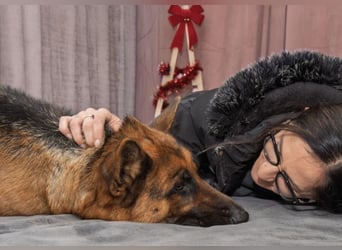 Rea ein wunderschönes Mädel