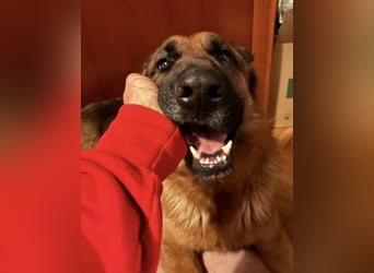 Rea ein wunderschönes Mädel