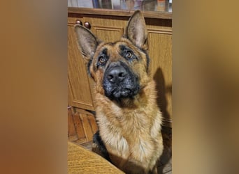 Rea ein wunderschönes Mädel