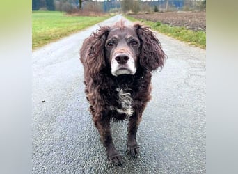 Nicki - ist freundlich&menschenbezogen