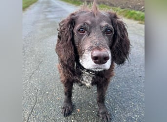 Nicki - ist freundlich&menschenbezogen