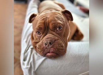 Capone - ist immer freundlich