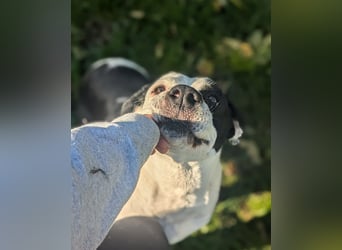 Amara sucht geduldiges Traumzuhause