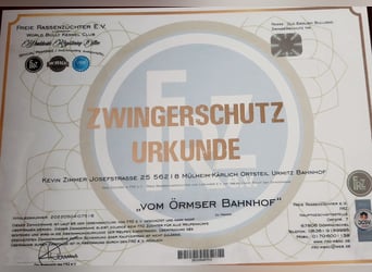 Big Boy Bruno Vom Örmser Bahnhof sucht sein Zuhause