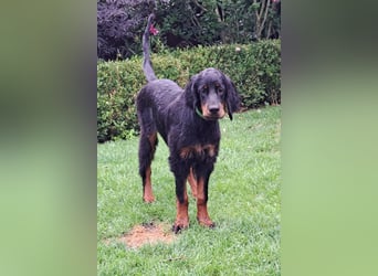 Die liebenswerte anschmiegsame Sheila sucht Lebenspartner