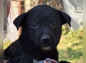 Kleine Luna ❤️ sanft, lieb + so neugierig