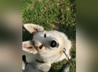 Hallo, ich bin Bella!