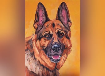 Direkt von Künstlerin: Tierportraits ab Foto (mit Tierschutzhilfe)