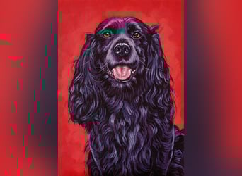 Direkt von Künstlerin: Tierportraits ab Foto (mit Tierschutzhilfe)