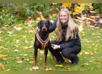 Tulio - ein Prachtkerl - Tierhilfe Franken e.V.