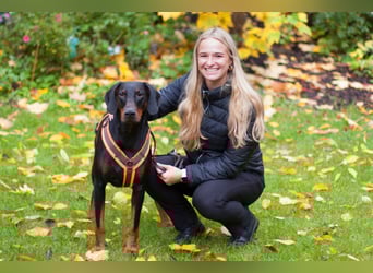 Tulio - ein Prachtkerl - Tierhilfe Franken e.V.