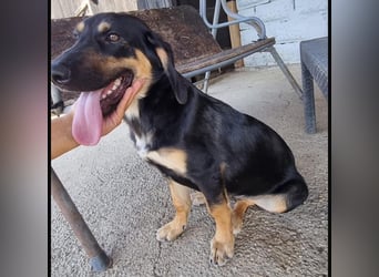 Rané ein wundervoller Schatz