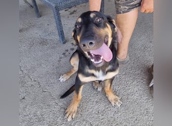 Rané ein wundervoller Schatz