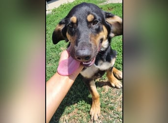 Rané ein wundervoller Schatz