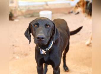 POSEIDON wünscht sich ein Zuhause