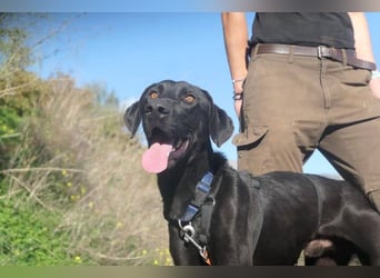 Poseidon wünscht sich ein Zuhause