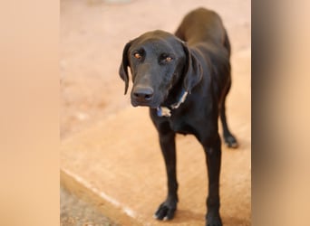 Poseidon wünscht sich ein Zuhause