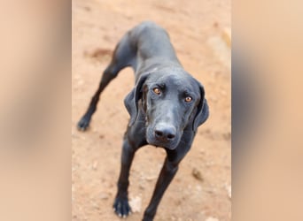 Poseidon wünscht sich ein Zuhause