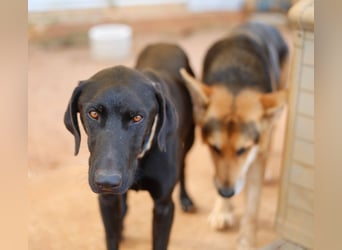 POSEIDON möchte dich kennenlernen