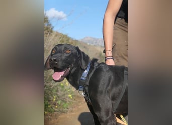 Poseidon wünscht sich ein Zuhause