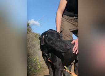 POSEIDON wünscht sich ein Zuhause