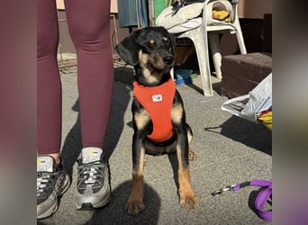 Matilda eine freundliche Seele