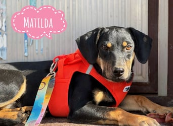 Matilda eine freundliche Seele