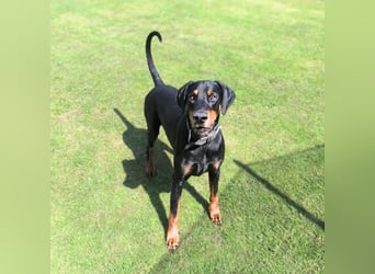 Metti - ist am liebsten immer dabei