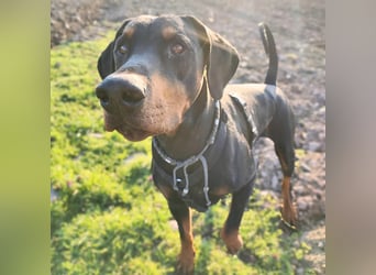 Metti - ist am liebsten immer dabei