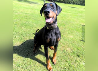 Metti - ist am liebsten immer dabei