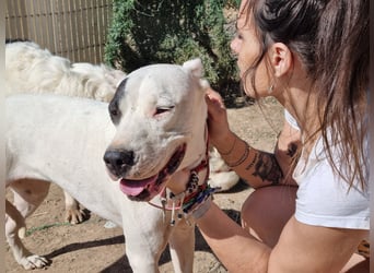 Handicap Santa Ana - sozial, freundlich und menschenbezogen