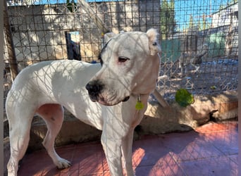 Handicap Santa Ana - sozial, freundlich und menschenbezogen