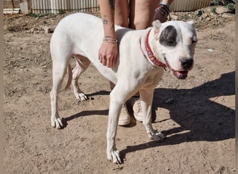 Handicap Santa Ana - sozial, freundlich und menschenbezogen