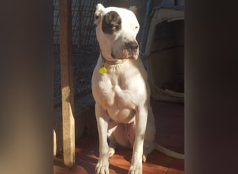 Handicap Santa Ana - sozial, freundlich und menschenbezogen